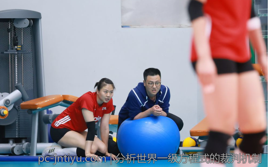 分析世界一级方程式的裁判机制